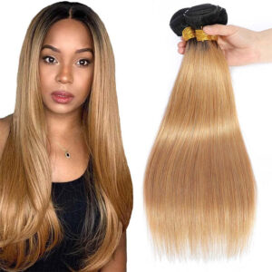 Ombre T1B/27 Straight Human Hair Bundles (1/3/4 Pack)